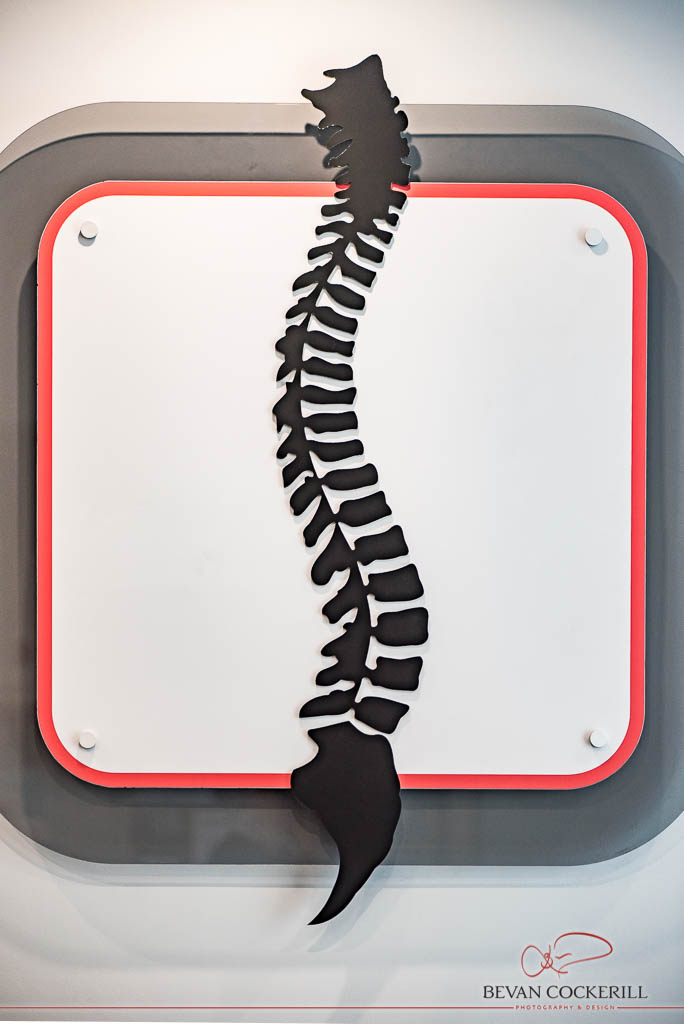 Spine Logo at The Yorkshire Physiotherapy Network