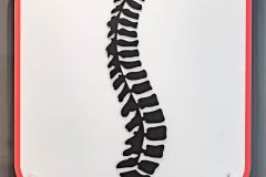 Spine Logo at The Yorkshire Physiotherapy Network