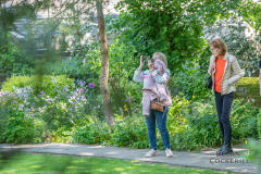 Bronte-Parsonage-Museum-Photography-by-Bevan-Cockerill-21