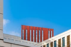 Student-Development-Photos-by-Bevan-Cockerill-25
