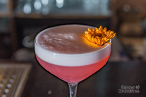 Drink Photography by Bevan Cockerill-13