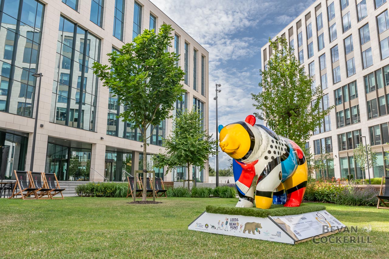 Ben-Holden-Leeds-Bear-Hunt-Photography-by-Bevan-Cockerill-2