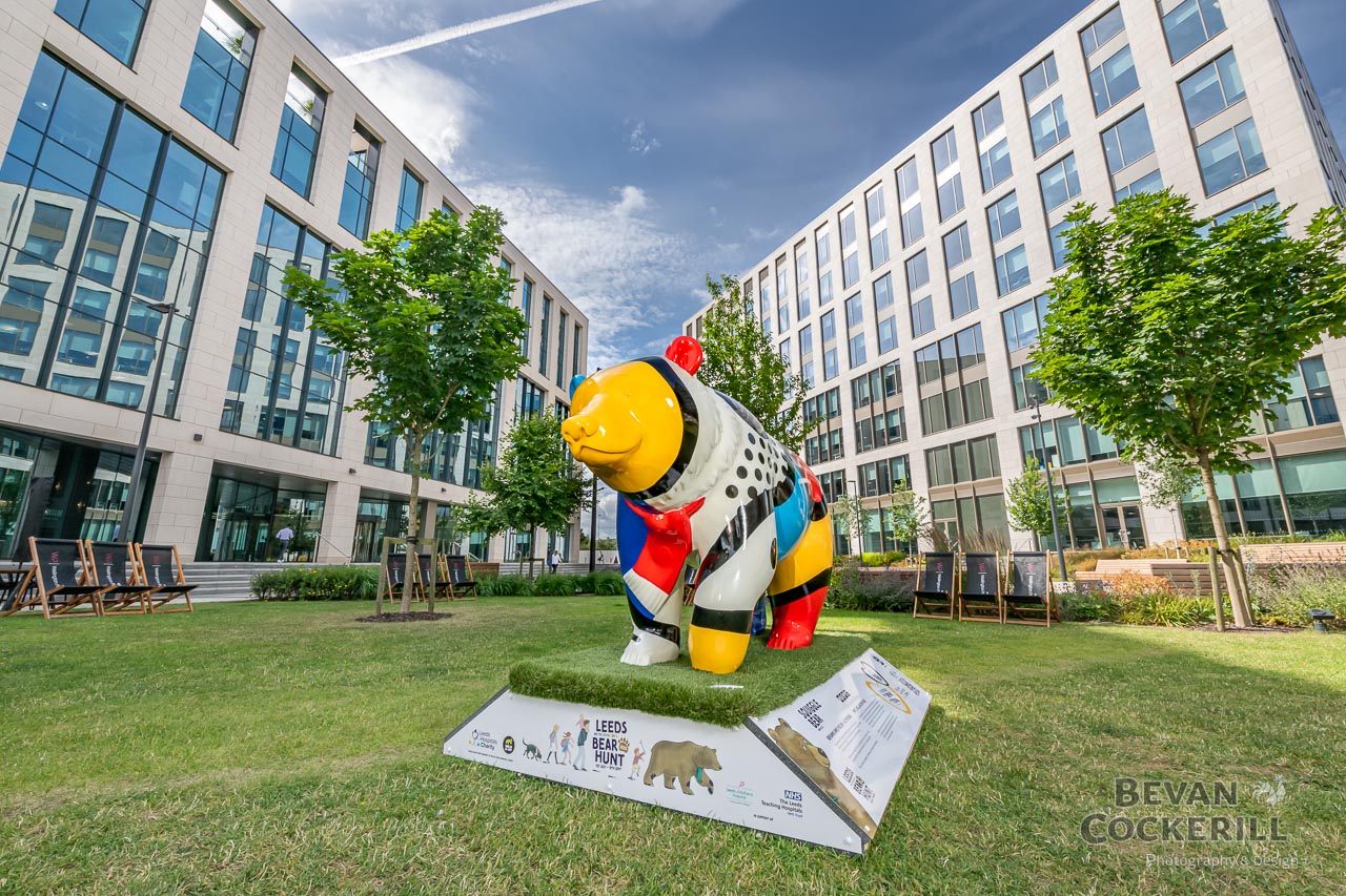 Ben-Holden-Leeds-Bear-Hunt-Photography-by-Bevan-Cockerill-3