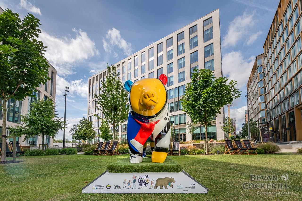 Ben-Holden-Leeds-Bear-Hunt-Photography-by-Bevan-Cockerill-9