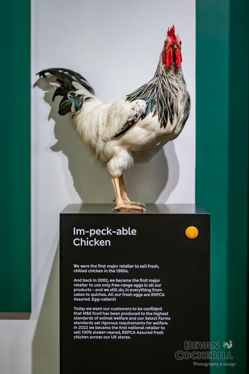 Marks-and-Spencer-Museum-Photos-by-Bevan-Cockerill-46