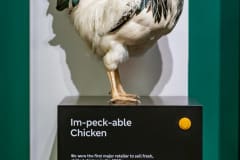 Marks-and-Spencer-Museum-Photos-by-Bevan-Cockerill-46
