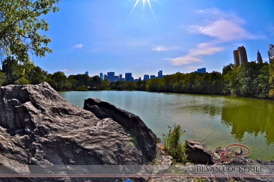 Central-Park-New-York