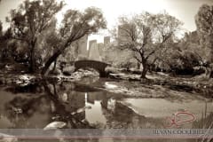 Central-Park-New-York3