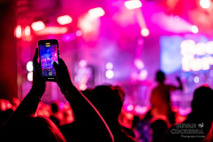 Stockeld-Rox-Festival-Photography-by-Bevan-Cockerill-48