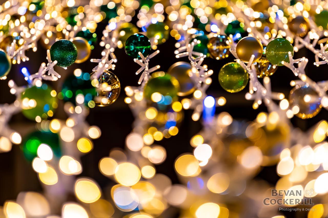 Victoria-Christmas-Photography-by-Bevan-Cockerill-21
