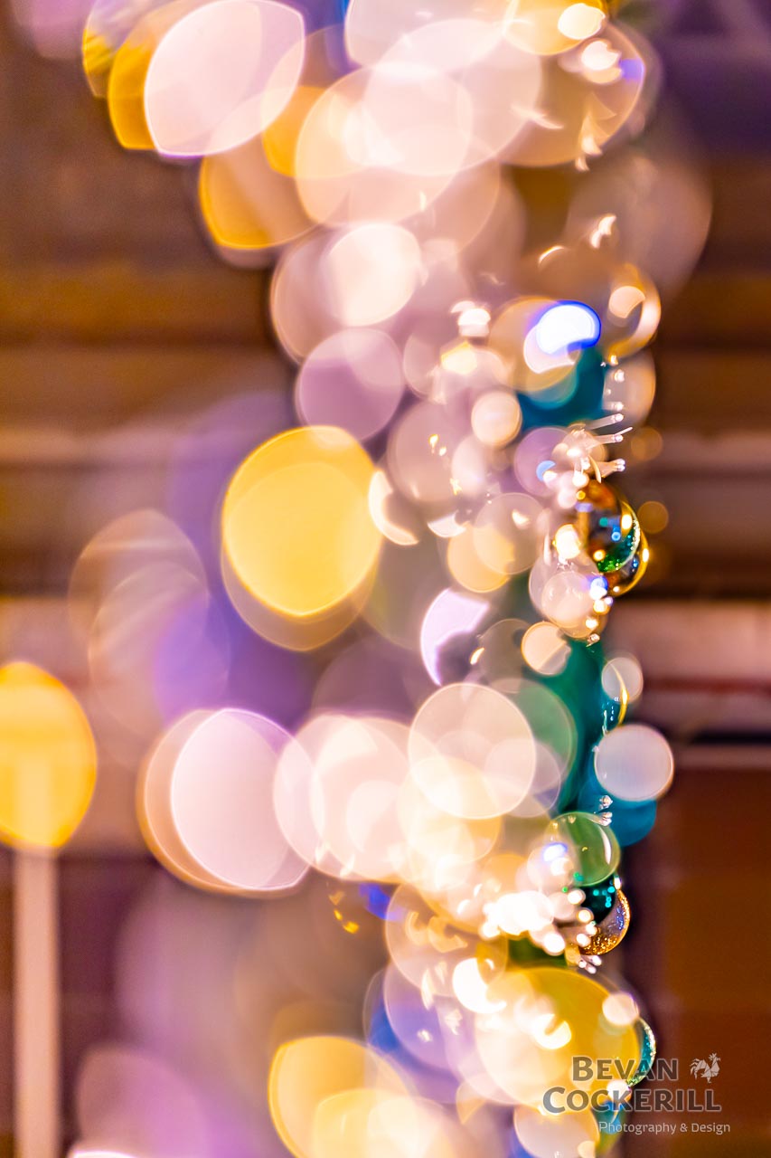 Victoria-Christmas-Photography-by-Bevan-Cockerill-22