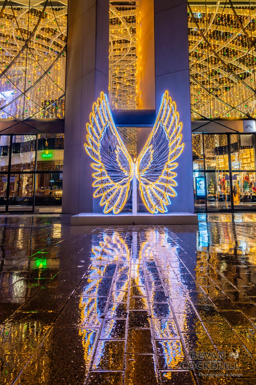 Victoria-Christmas-Photography-by-Bevan-Cockerill-44