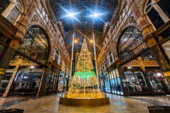 Victoria-Christmas-Photography-by-Bevan-Cockerill-10