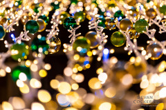Victoria-Christmas-Photography-by-Bevan-Cockerill-21