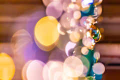 Victoria-Christmas-Photography-by-Bevan-Cockerill-22