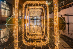 Victoria-Christmas-Photography-by-Bevan-Cockerill-38