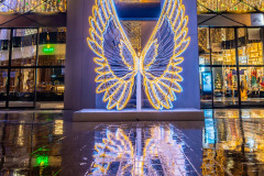 Victoria-Christmas-Photography-by-Bevan-Cockerill-44
