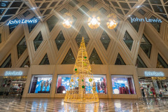 Victoria-Christmas-Photography-by-Bevan-Cockerill-51